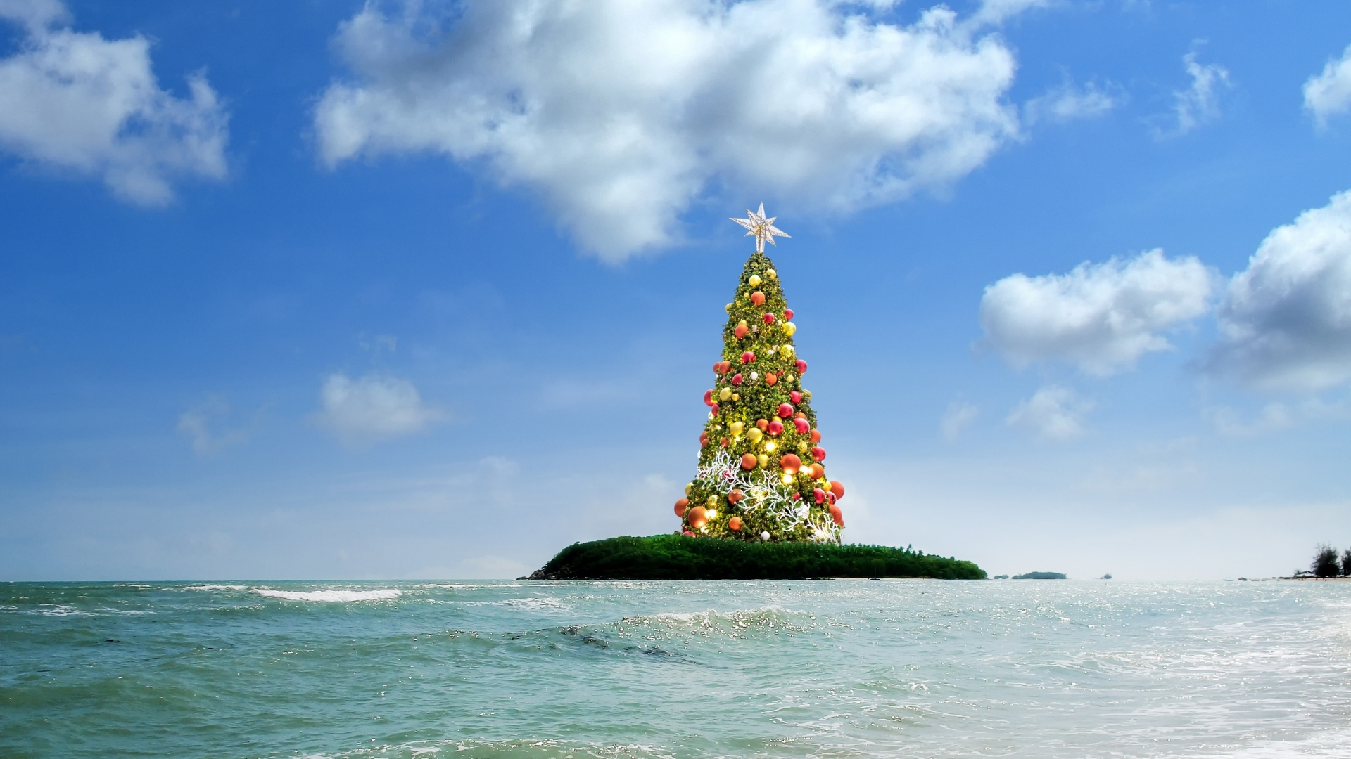 the christmas tree on the oasis 